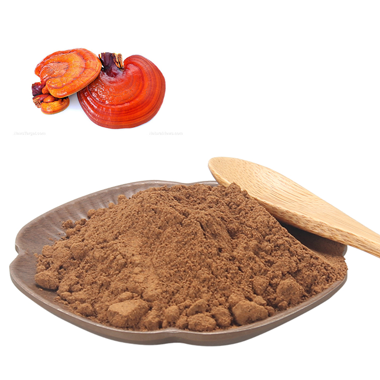 Red Ganoderma Mushroom Extract: Natural Immunity Booster